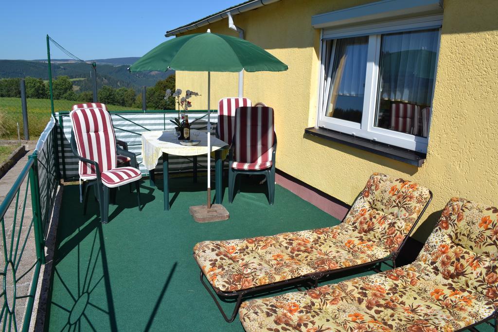 Auf Der Weide Apartment Oberweißbach Екстериор снимка
